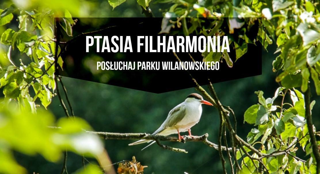 Warsztaty dźwiękowe dla dorosłych